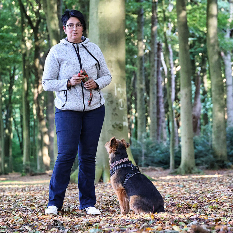 Alltag mit Hund Trainingstruppe