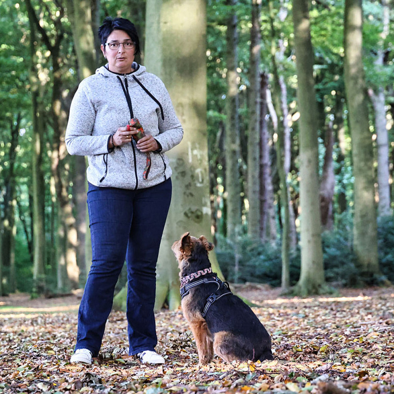 Alltag mit Hund Wochenende