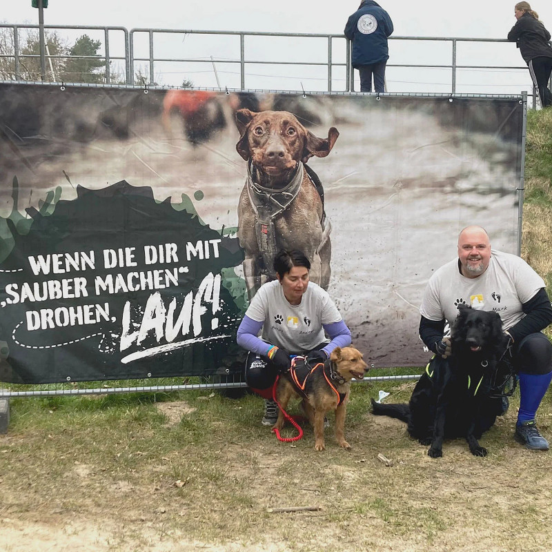 Zughundesport - Kurs