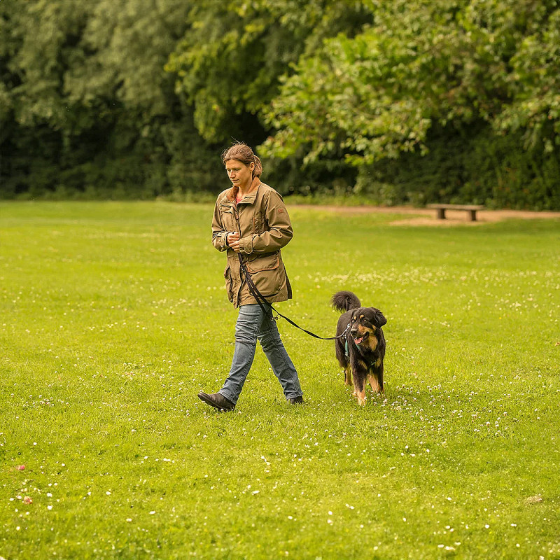 Entspannt an der Leine