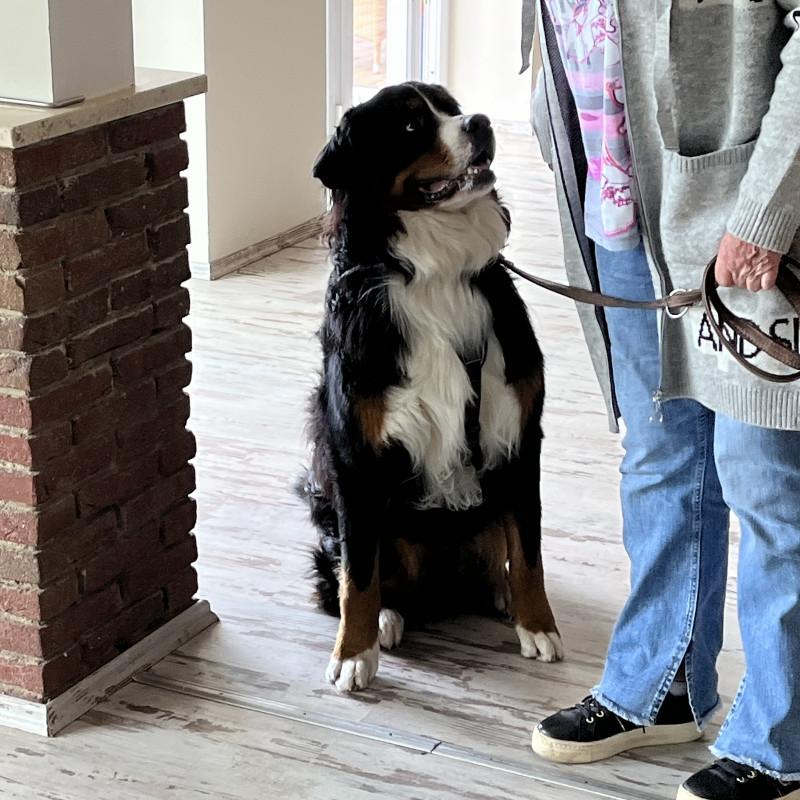 Grundsignale und Struktur