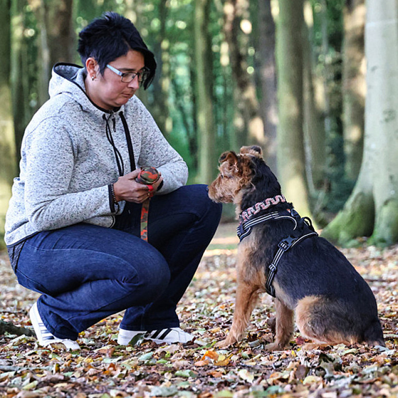 Erste Hilfe am Hund