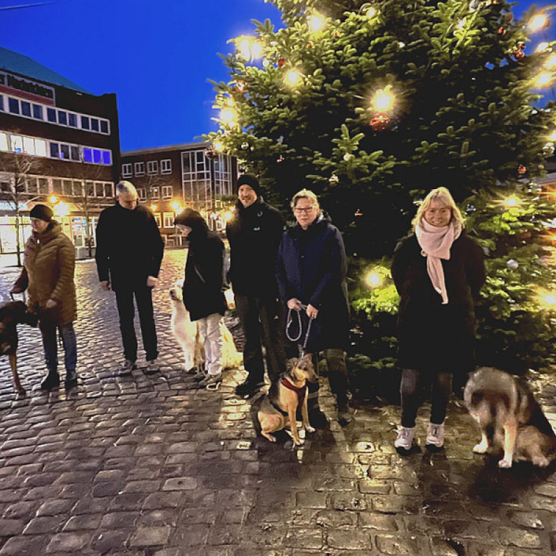 Lichterglanz im Lotsenviertel