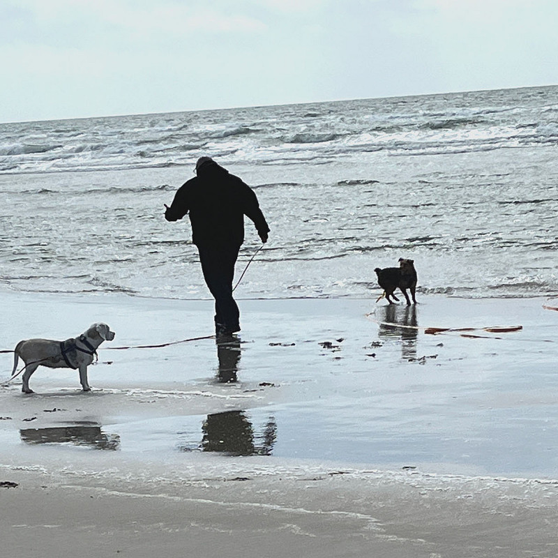 Urlaub mit Hund in Ostfriesland