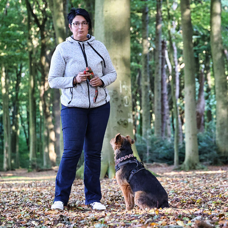 Sachkundenachweis / Hundeführerschein "Praxis"  Bremen und Niedersachsen