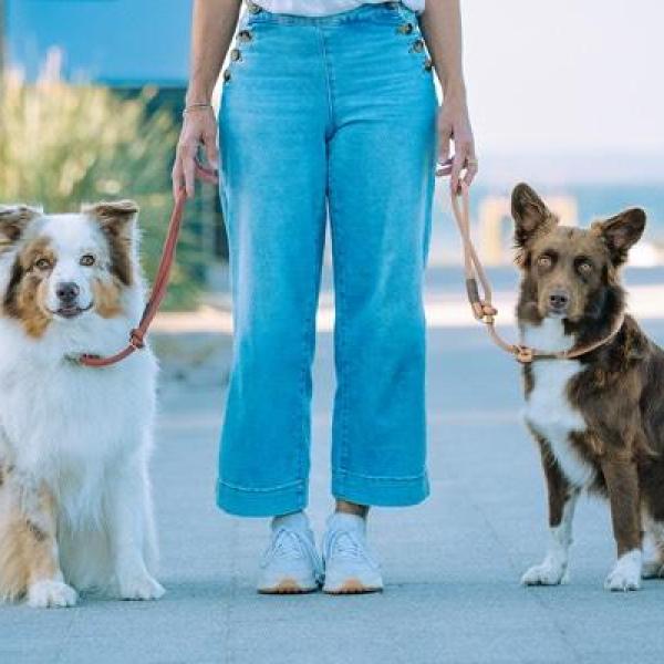 Leinenführigkeit 1.26