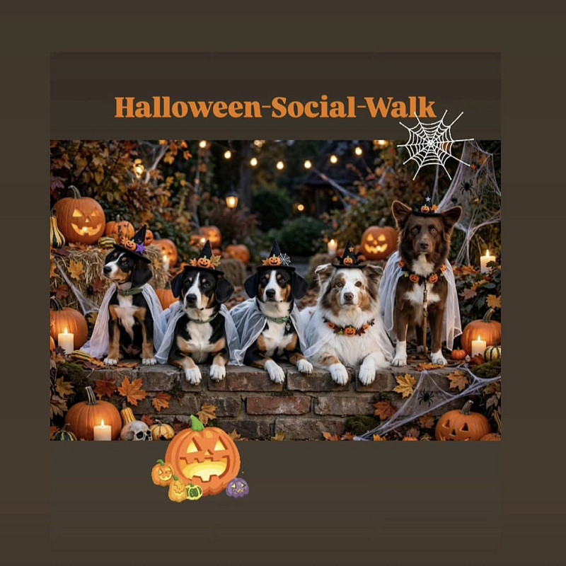 Halloween Social Walk