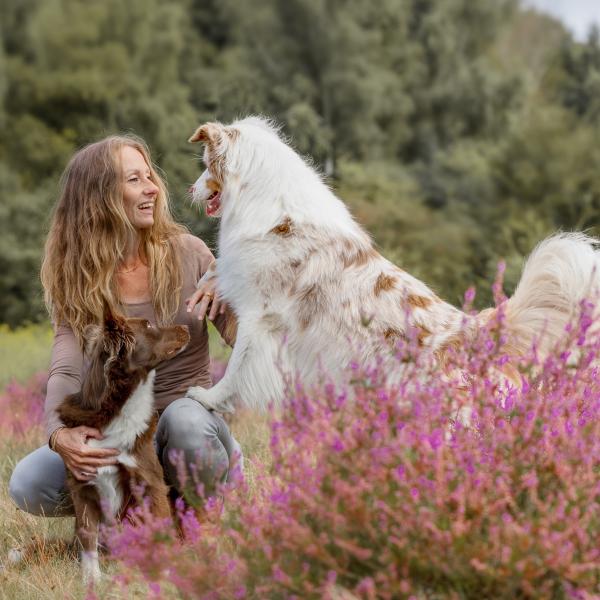 'Leader of the pack' - Führung ist mehr als Training