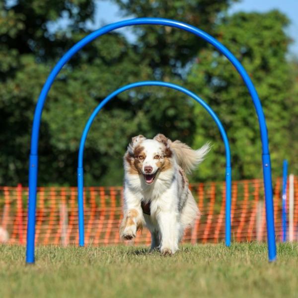 Hoopers Mehrfachkarte 3er