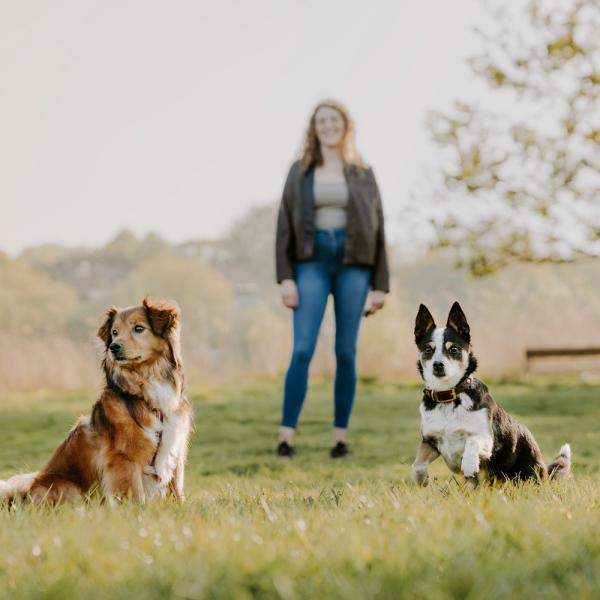 Junghunde-Crew im Stadtpark