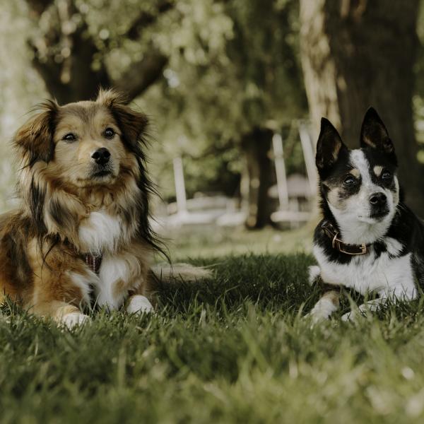 Alltags-Crew im Stadtpark