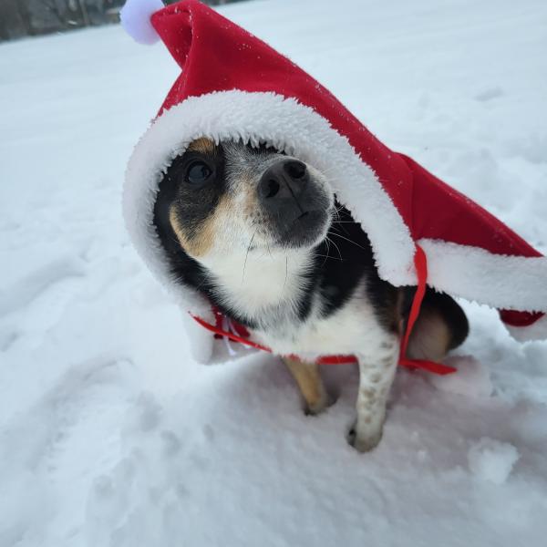 Weihnachts-Krimi-Tour