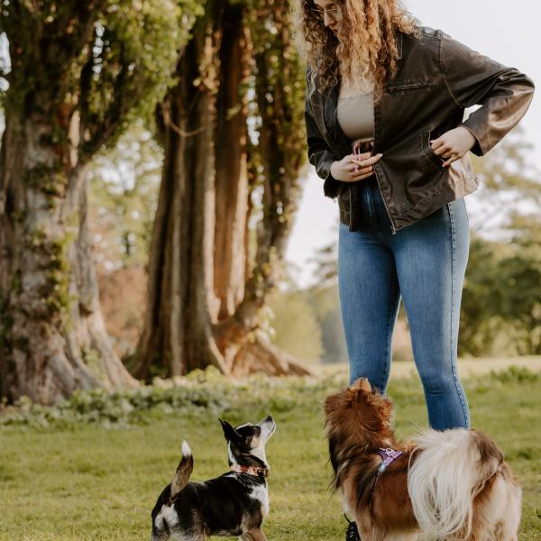 Mini-Kurs Leinenführigkeit und Hundebegegnungen im Stadtpark