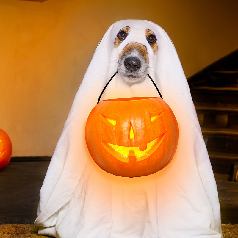 Halloween Krimi-Tour im Stadtpark