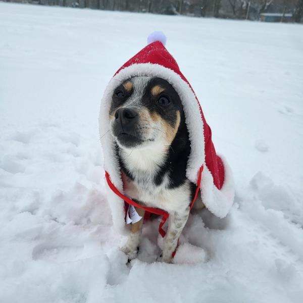 Weihnachts-Krimi-Tour