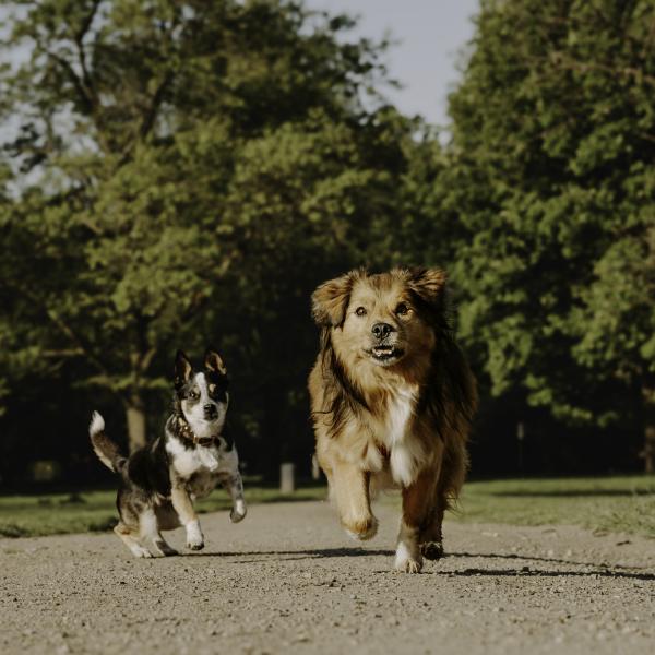Social Walk im Stadtpark
