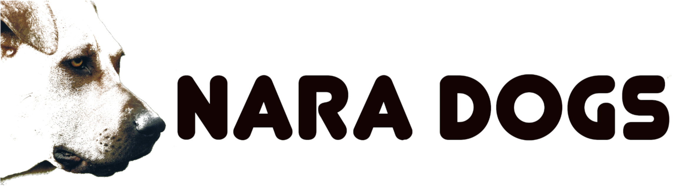 Hundeverhaltensberatung