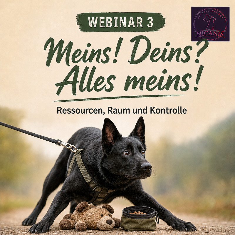 Leinenpöbler verstehen Teil 3 - Meins , Deins ?- Alles Meins!