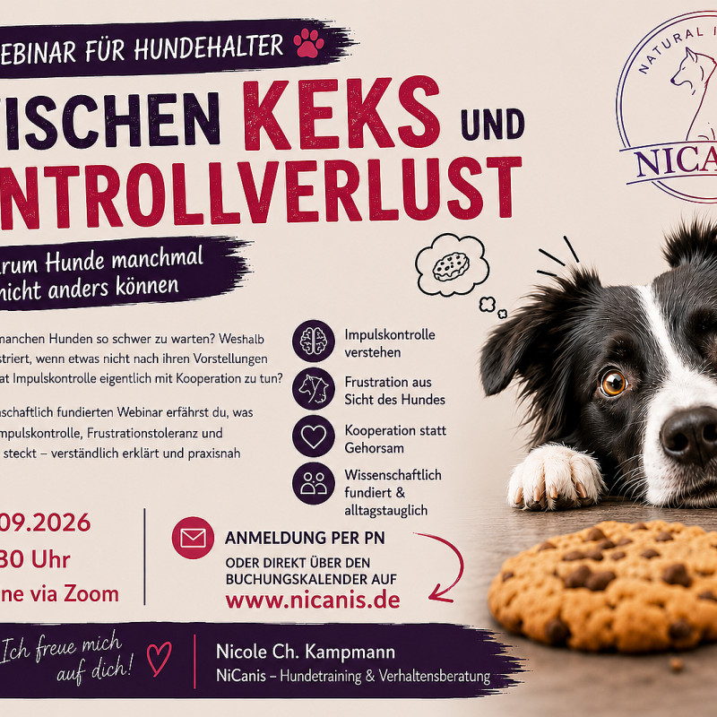 Zwischen Keks und Kontrollverlust - Warum Hunde manchmal nicht anders können