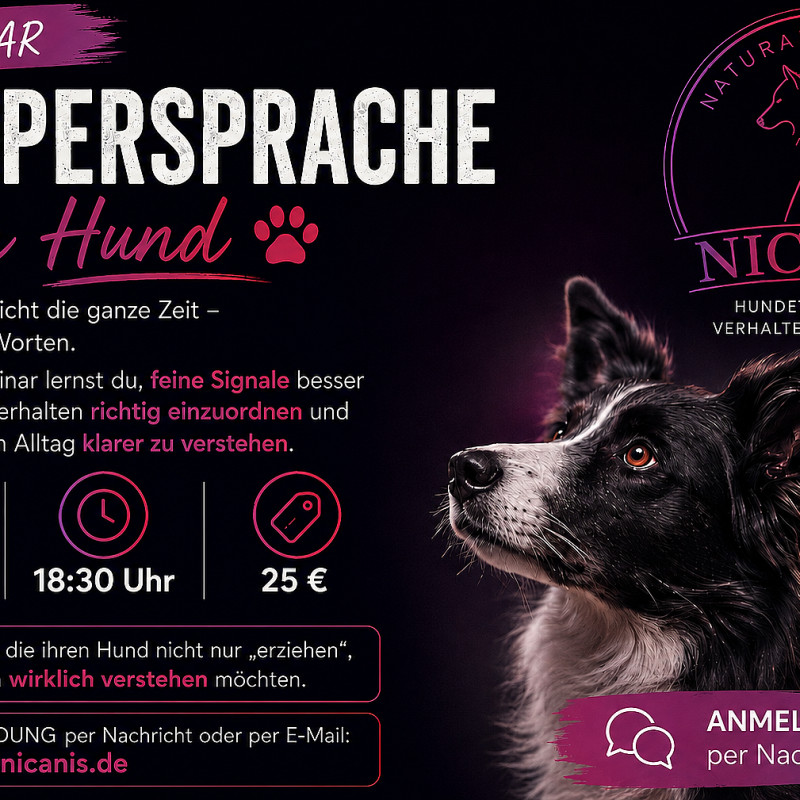 Die Sprache vor dem Verhalten