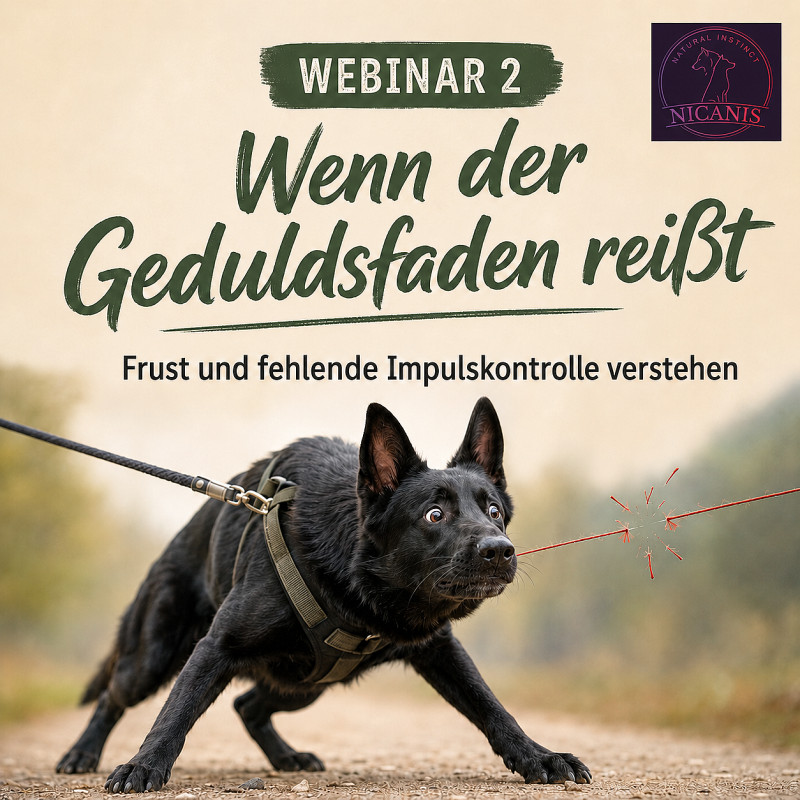 Leinenpöbler verstehen Teil 2 -  Wenn der Geduldsfaden reißt