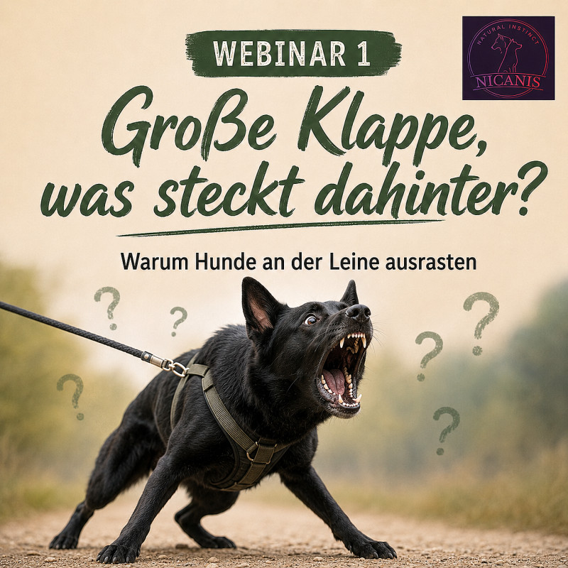 Leinenpöbler verstehen Teil 1 Große Klappe was steckt dahinter?