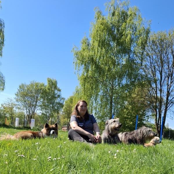 Der perfekte Rückruf