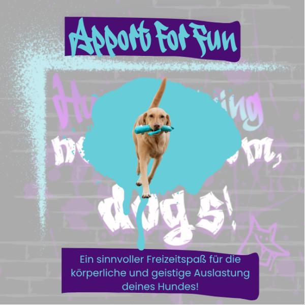 Apport for Fun