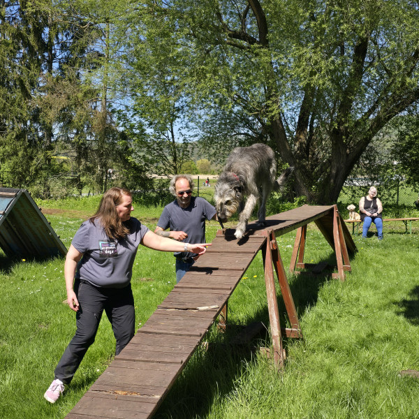 Alltags-Training – Dies, Das & Jenes