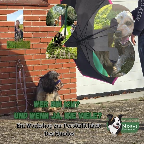 Wer bin ich? - und wenn ja, wie viele?