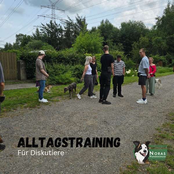 Alltagstraining für Diskutiere