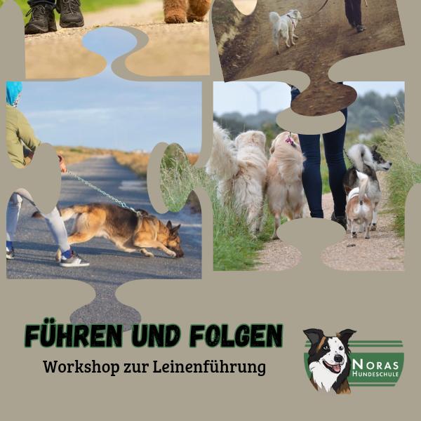 Führen und Folgen