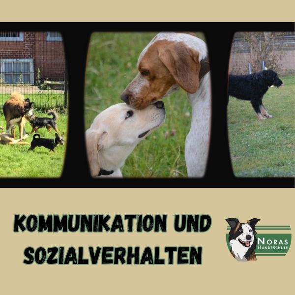 Kommunikation und Sozialverhalten