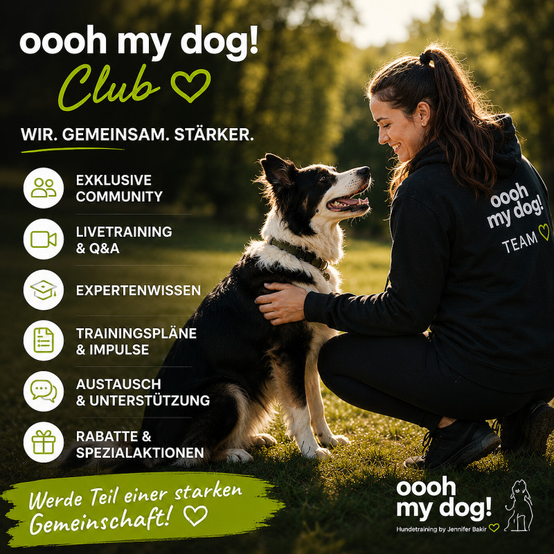 Club-Meeting