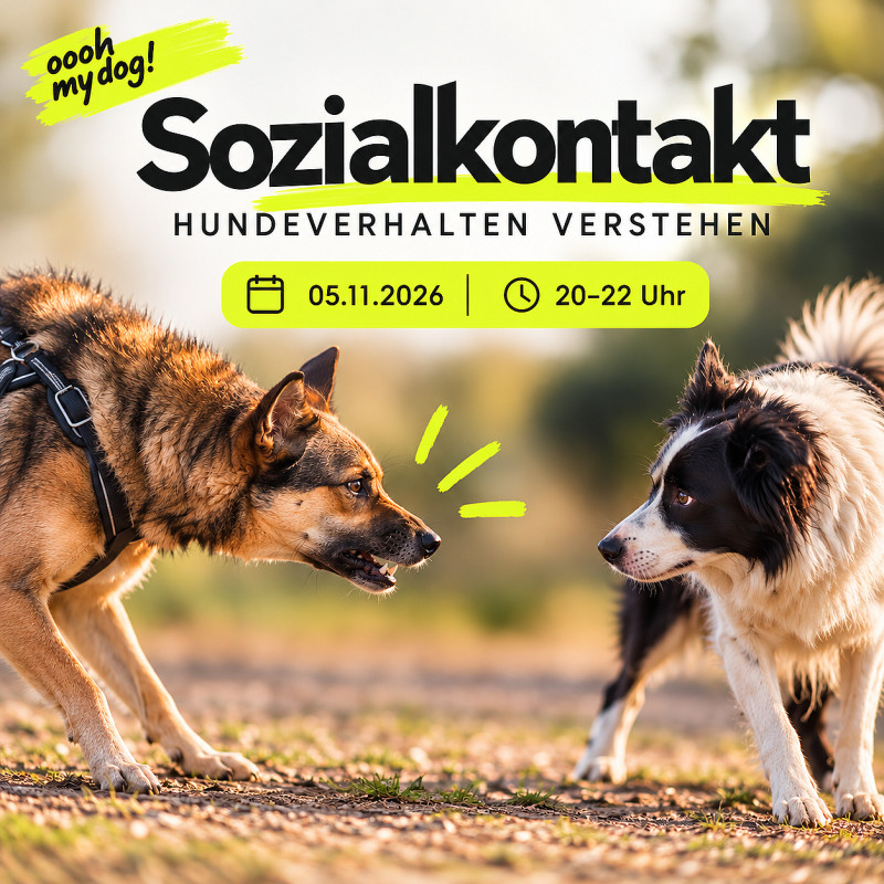 Online-Workshop