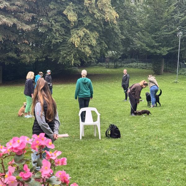 Unsichtbare Leine (BASIS)