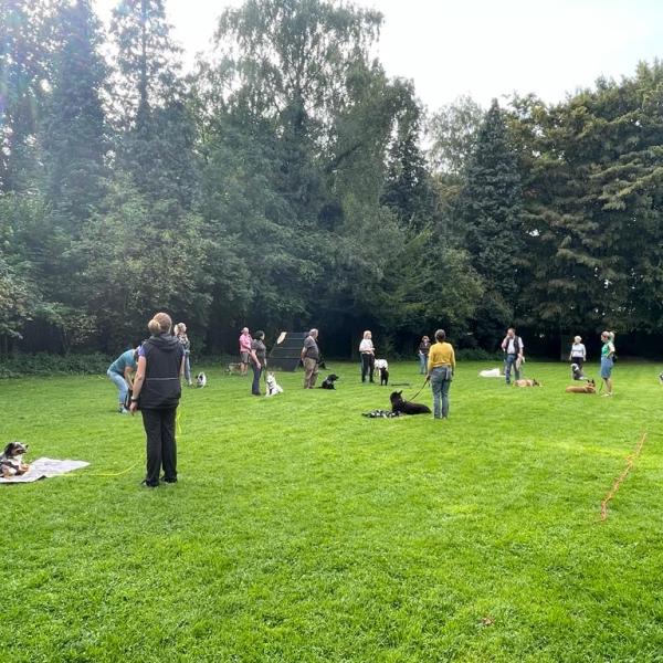 Spendenwalk Schäferhund-Verein - OG SV Raadt - Oktober
