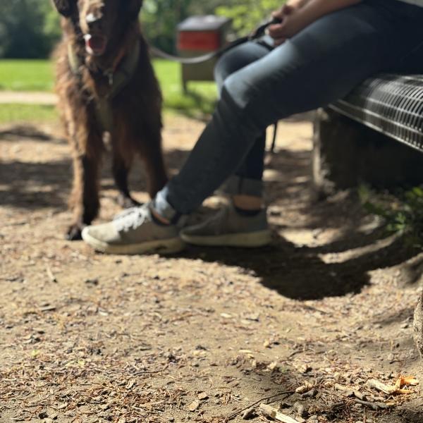 Anti-Giftköder (EXKLUSIV)