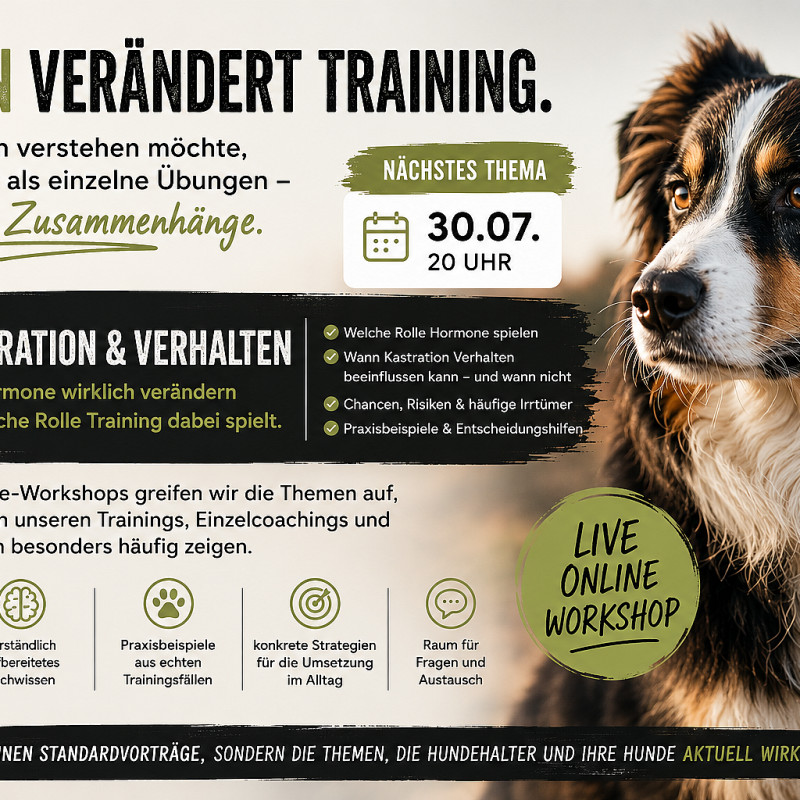 Online-Workshop