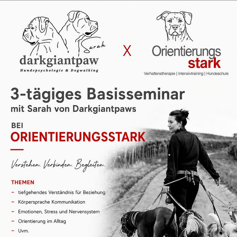 Basisseminar mit Sarah von Darkgiantpaws (Aktive Teilnahme)