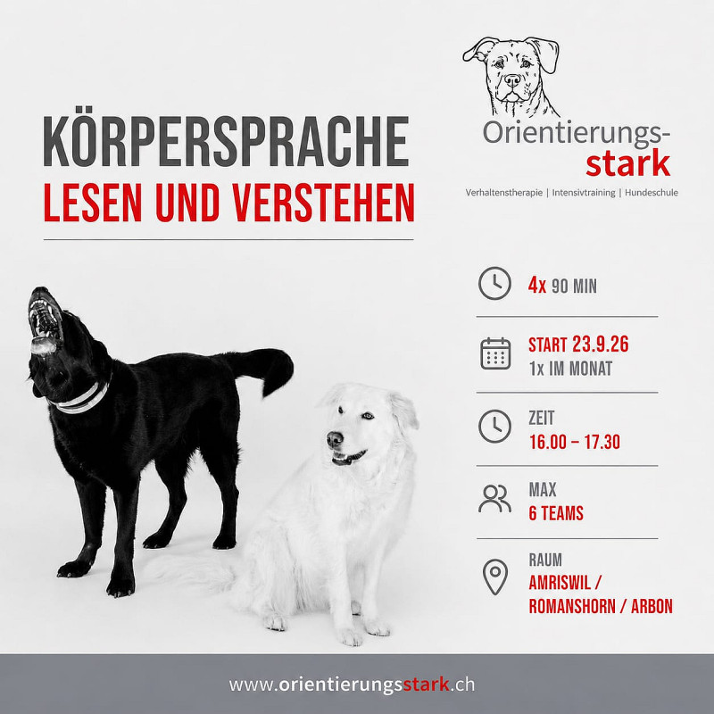 Mittwoch 16.00 Uhr Körpersprache lesen und verstehen 4x 90 Min