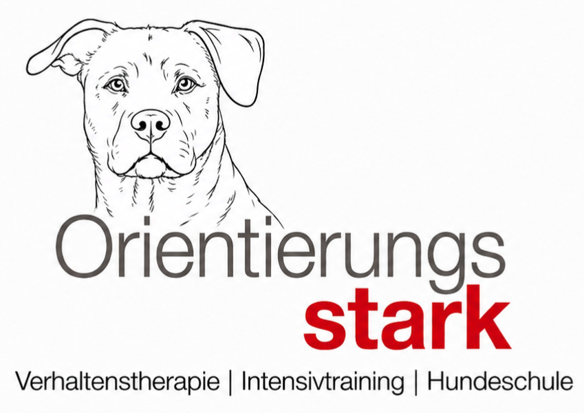 Verhaltenstherapie / Intensivtraining / Hundeschule