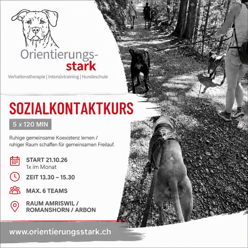 Mittwoch 13.30 Uhr Sozialkontaktkurs 5x 120 Min