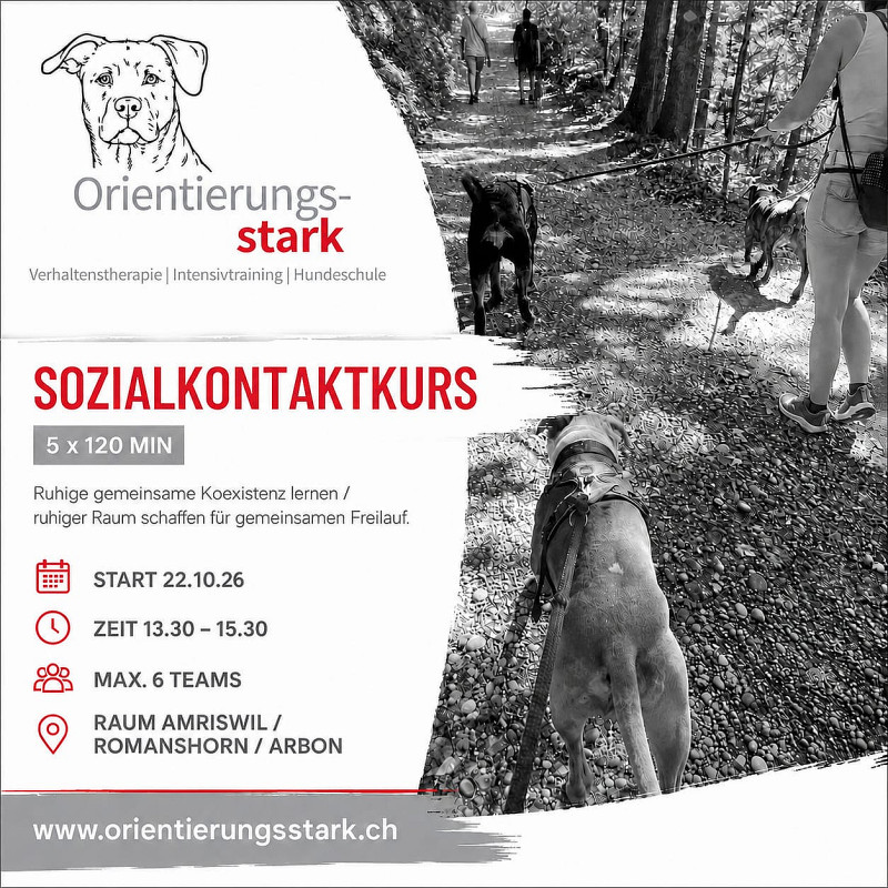 Donnerstag 13.30 Uhr Sozialkontaktkurs 5x 120 Min.
