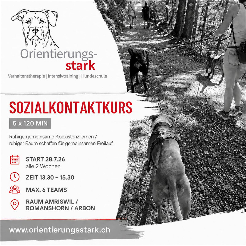 Dienstag 17.00 Uhr Sozialkontaktkurs 5x 120Min