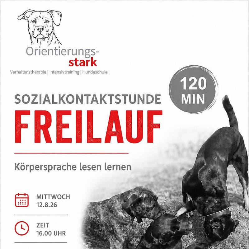 Mittwoch 16.00 Uhr Sozialkontaktstunde (Freilauf) 1x 120Min