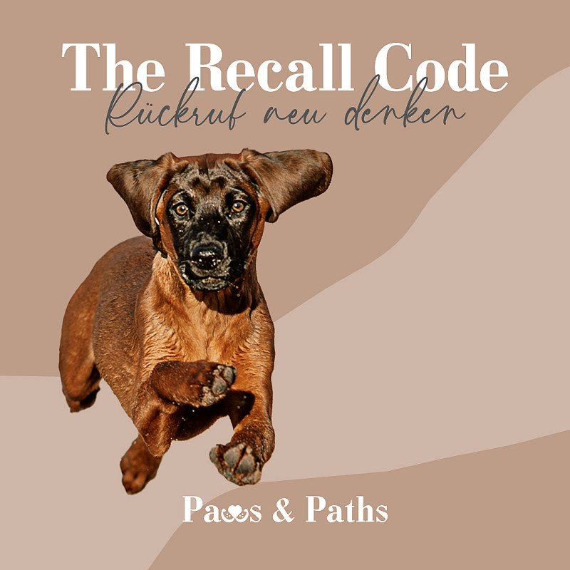 THE RECALL CODE v3