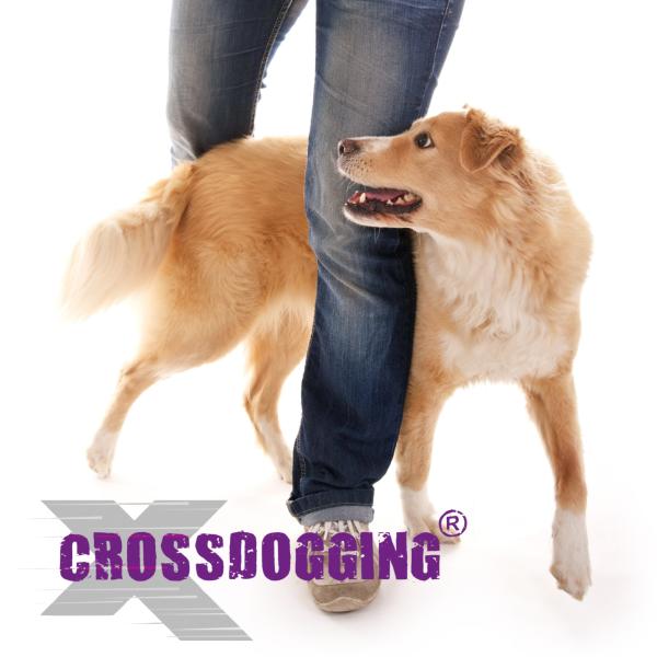 Crossdogging Monatsabo 2026