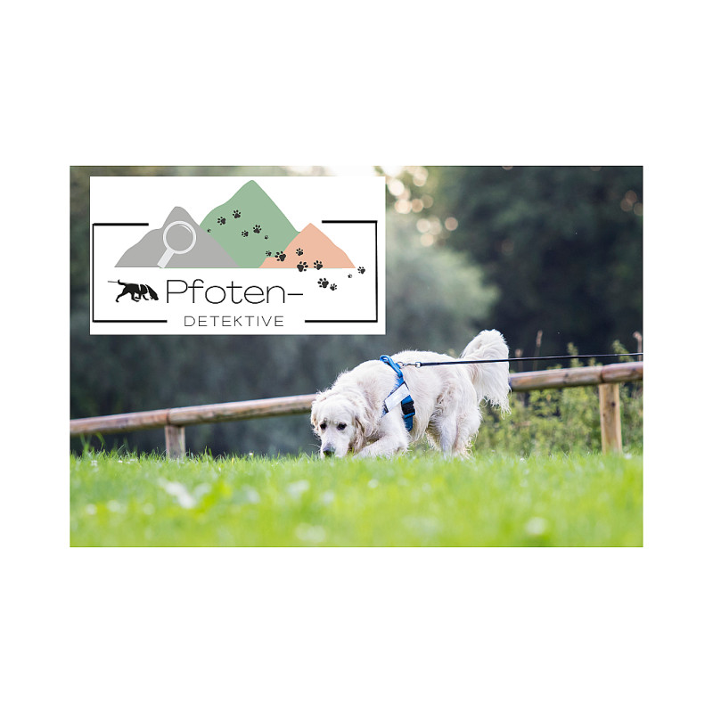 Mantrailing Starter Workshop