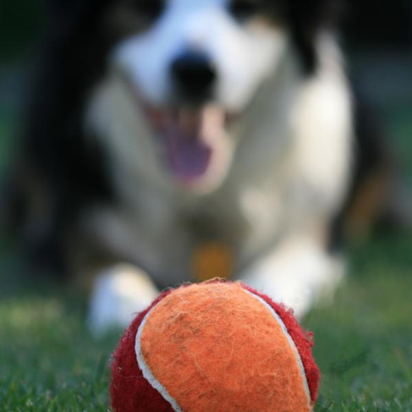 Ruhe finden: Impulse zügeln, Frust aushalten 🧘